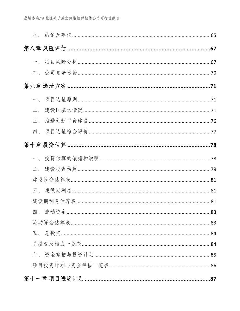 江北区关于成立热塑性弹性体公司可行性报告模板范本_第4页