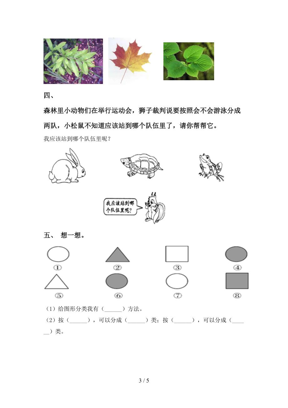 苏教版一年级科学上册期中测试卷及答案【精选】.doc_第3页