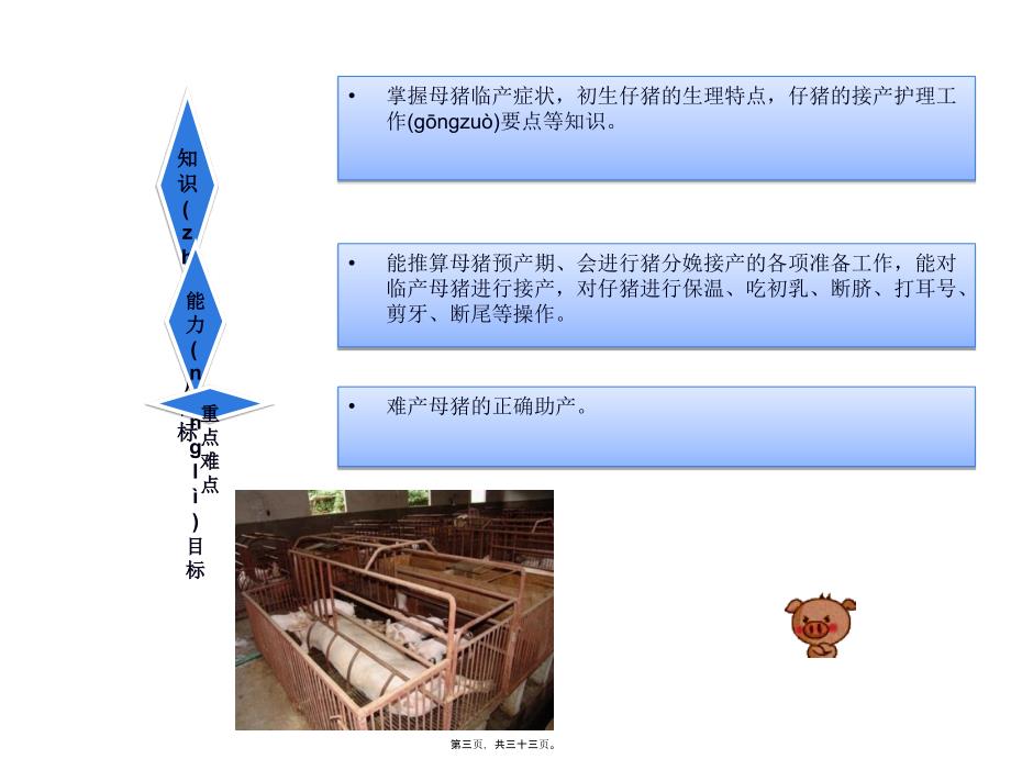 医学专题—猪的分娩接产-137592_第3页