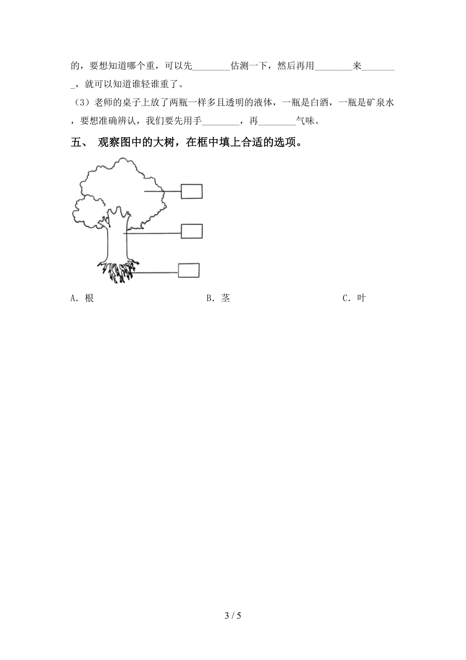 2022年一年级科学上册期中考试题及答案【A4版】.doc_第3页