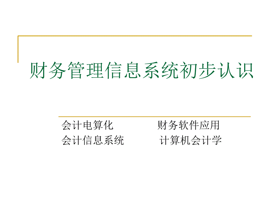 财务管理信息系统初步认识_第1页