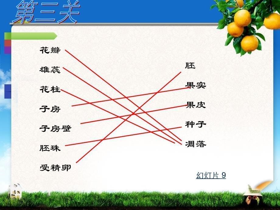 小学科学五年级下册《果实是怎样形成的》课件(1)课件_第5页