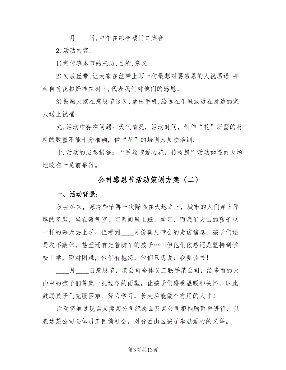 公司感恩节活动策划方案（五篇）_第3页