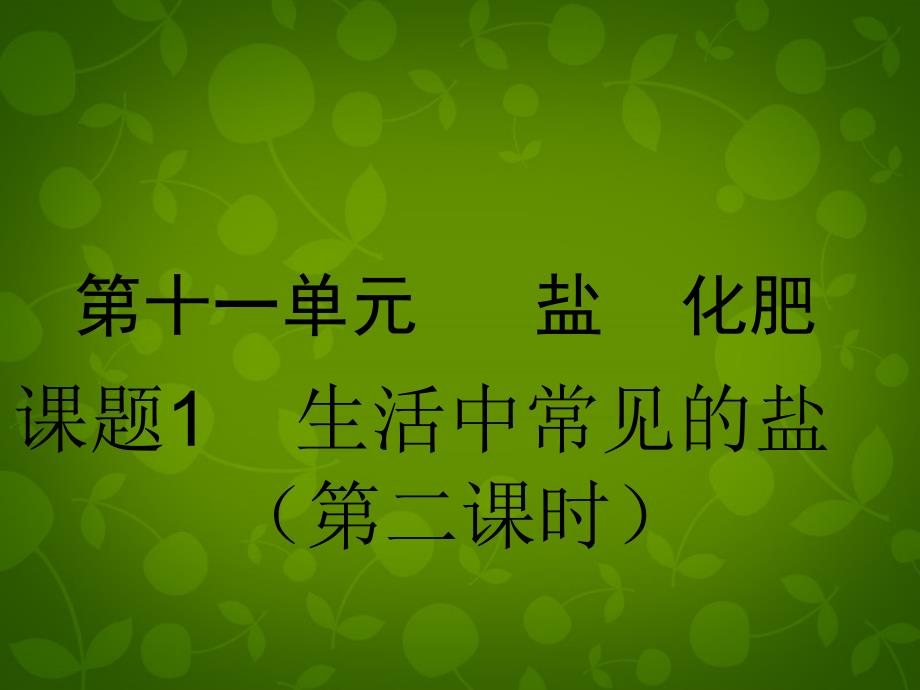 最新人教初中化学九下《11课题1生活中常见的盐》PPT课件 17_第2页