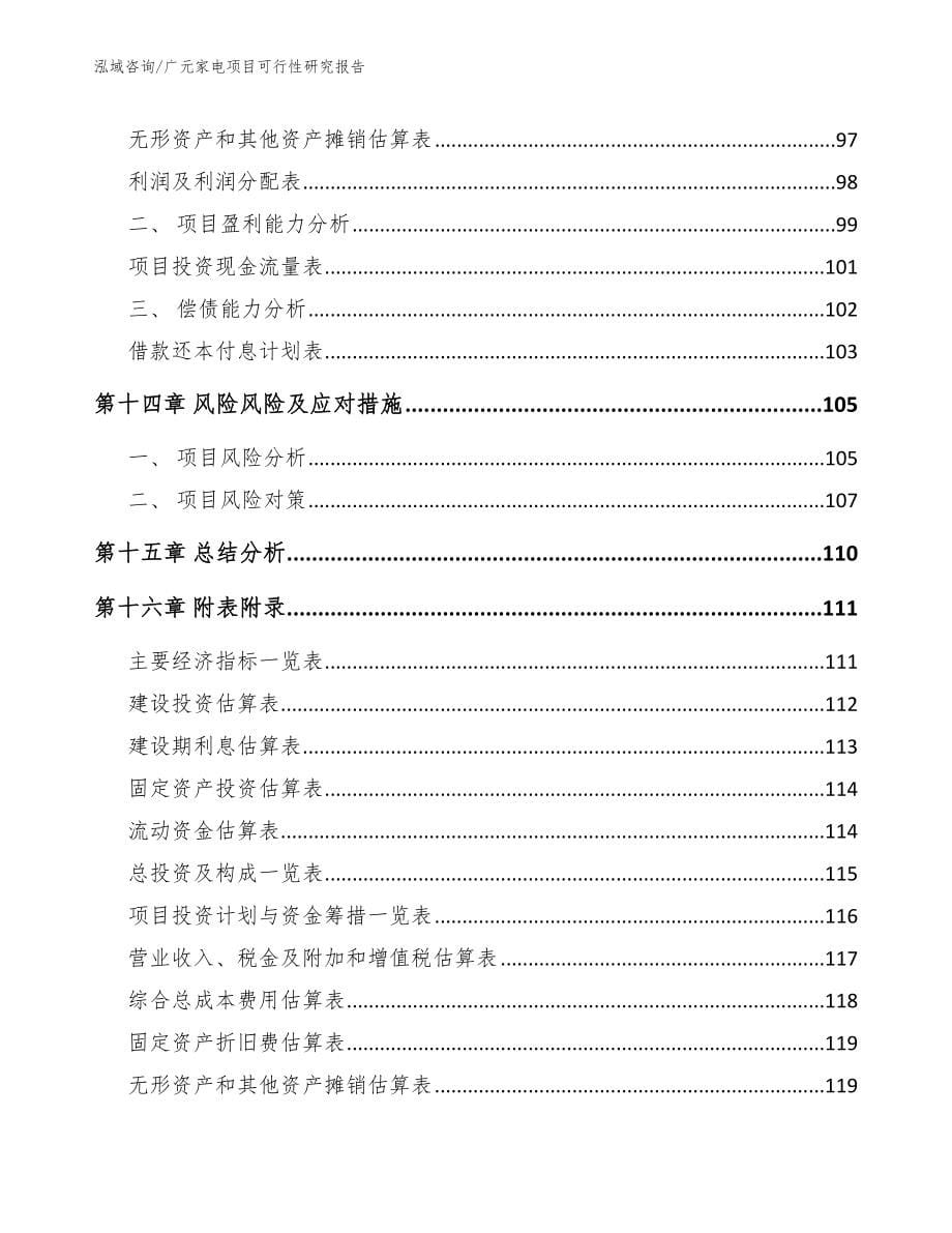 广元家电项目可行性研究报告模板参考_第5页