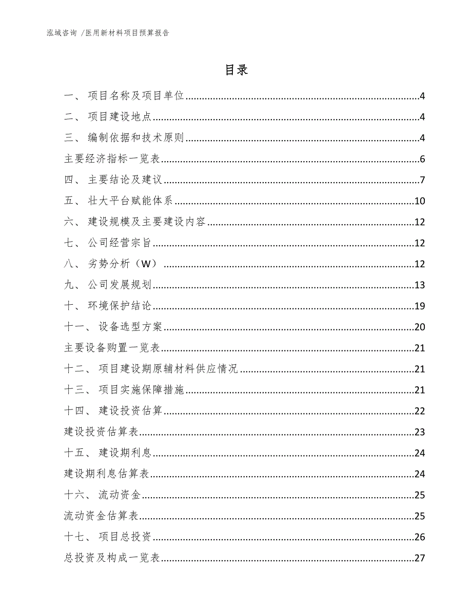 医用新材料项目预算报告_第2页