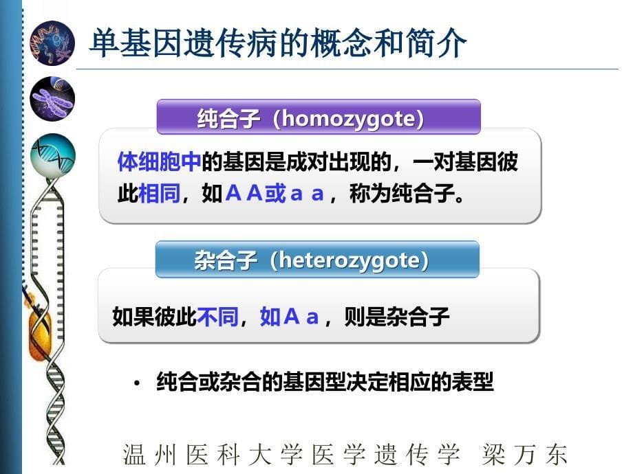 医学遗传学：第4章 单基因遗传病_第5页