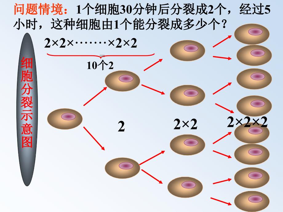 2.11有理数的乘方_第2页