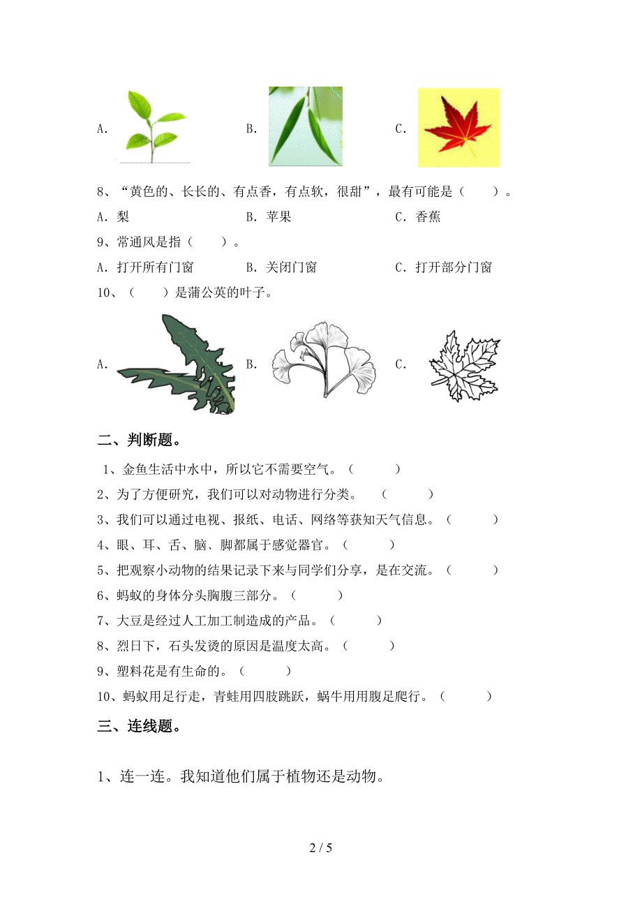 大象版一年级科学上册期中试卷及答案【免费】.doc_第2页