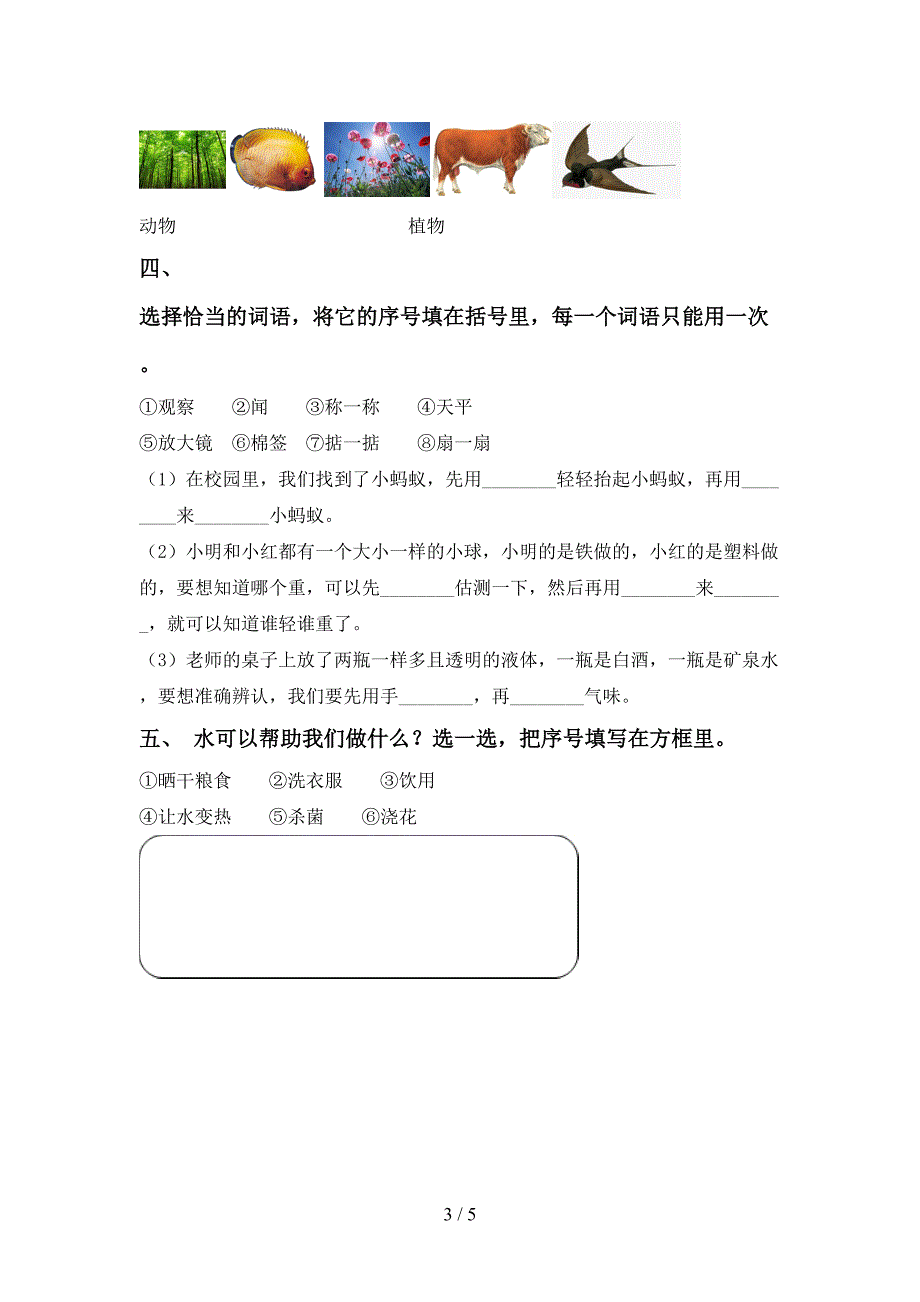 大象版一年级科学上册期中试卷及答案【免费】.doc_第3页