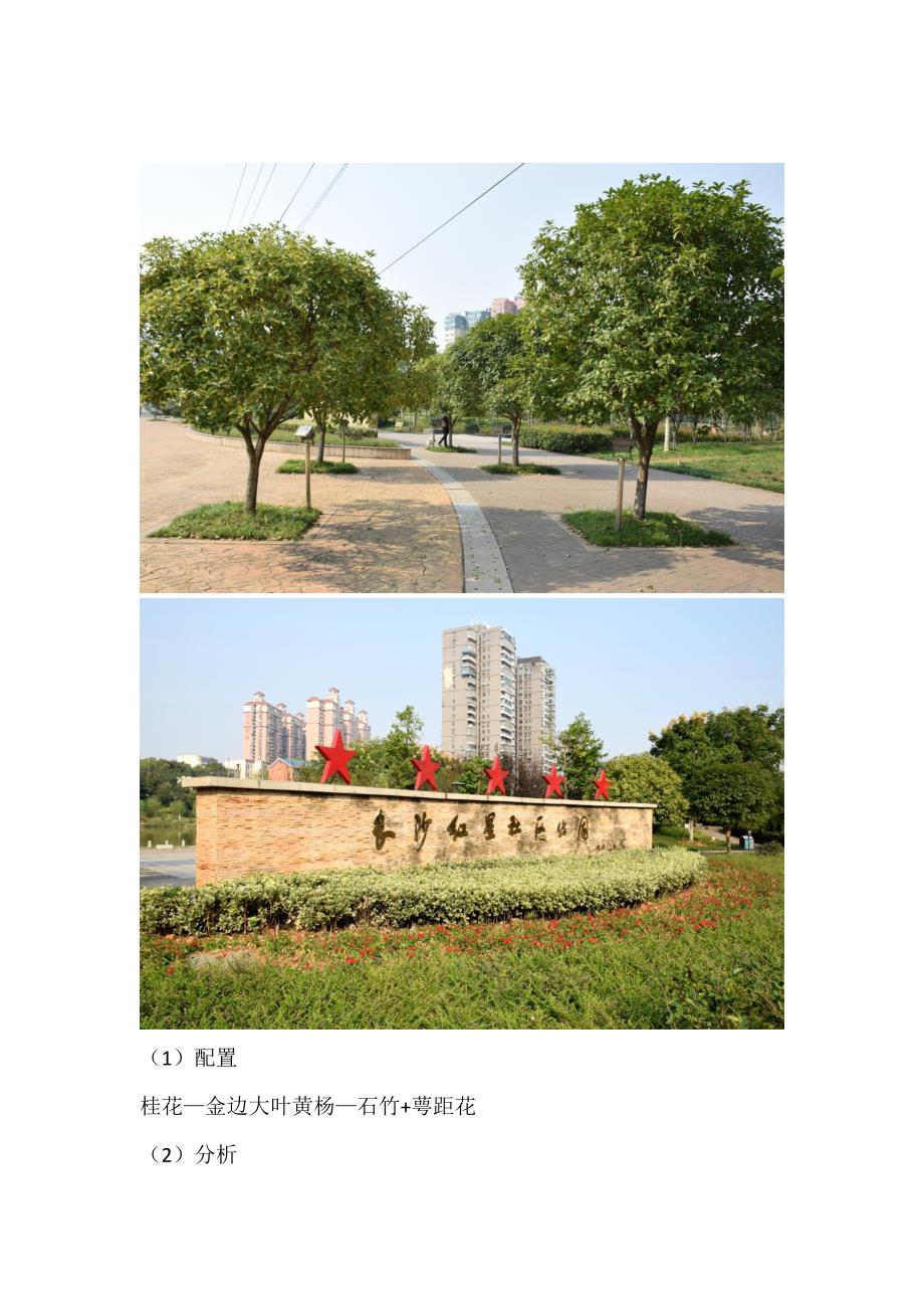 长沙红星社区公园植物造景实习报告_第4页