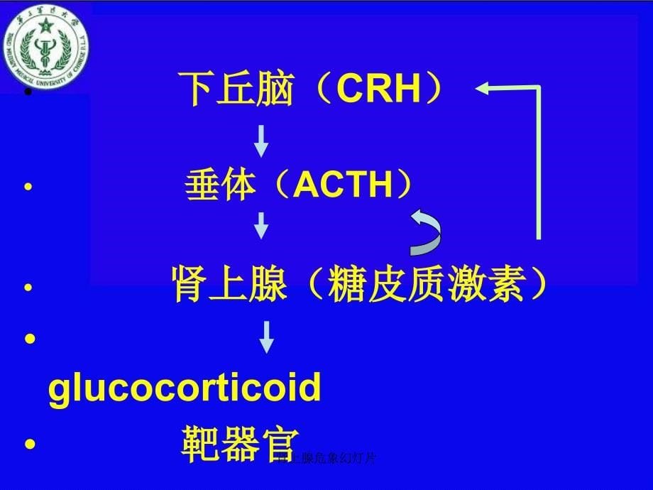 肾上腺危象幻灯片_第5页