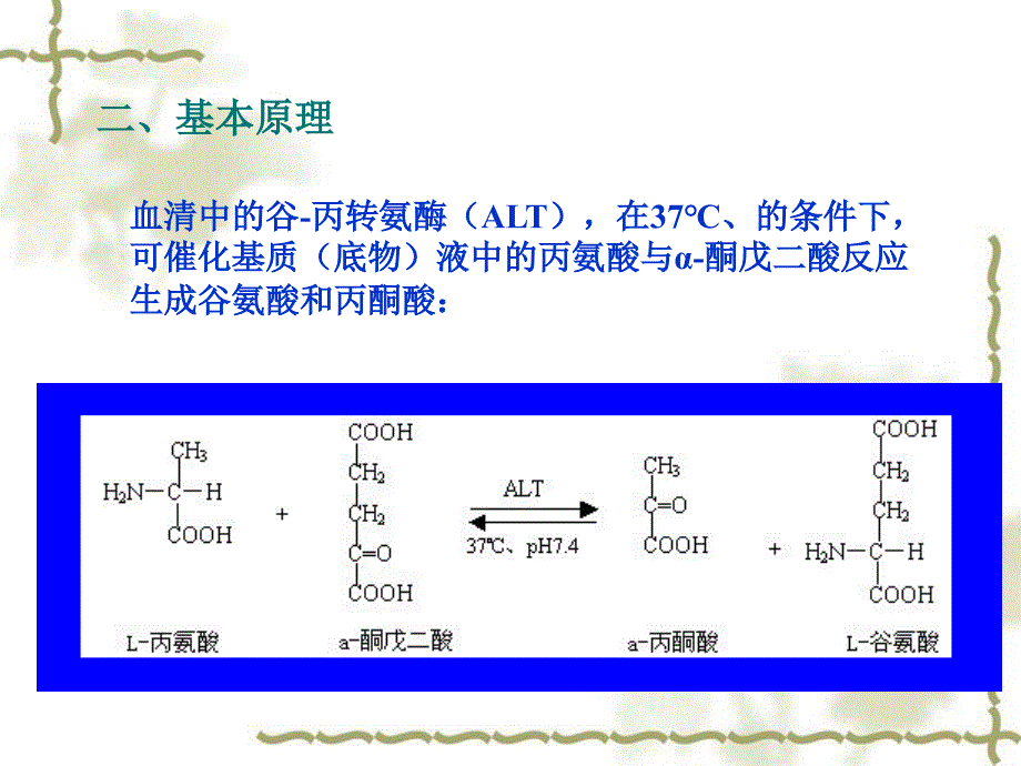 实验十二谷丙转氨酶活性检测_第2页