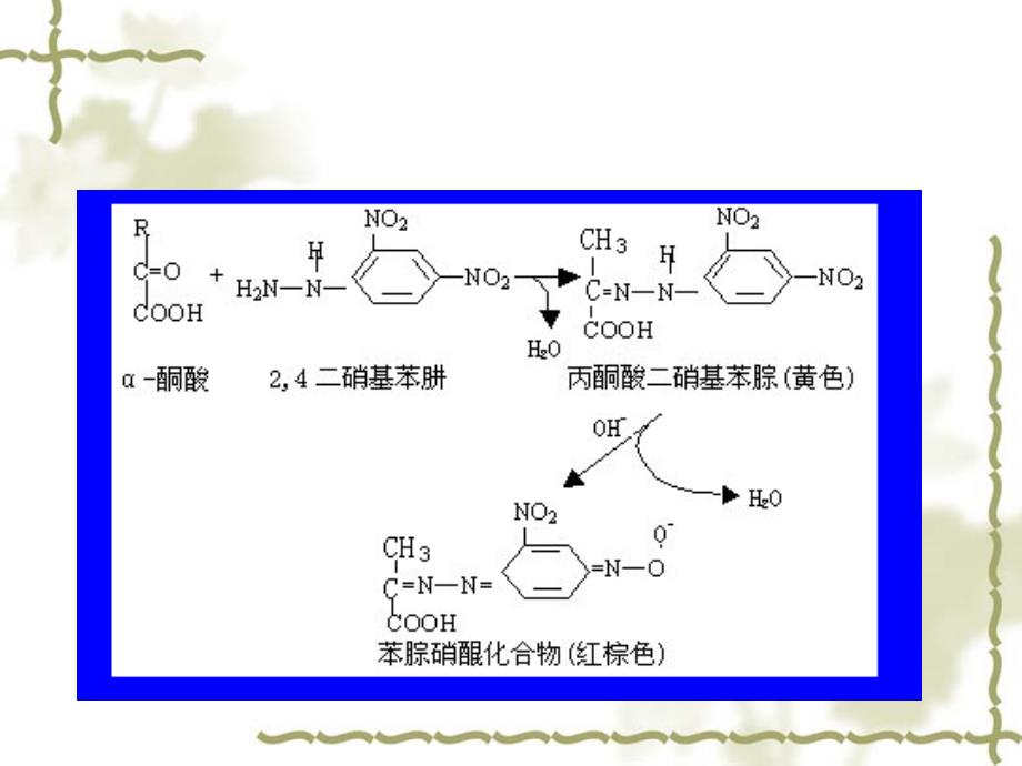 实验十二谷丙转氨酶活性检测_第4页