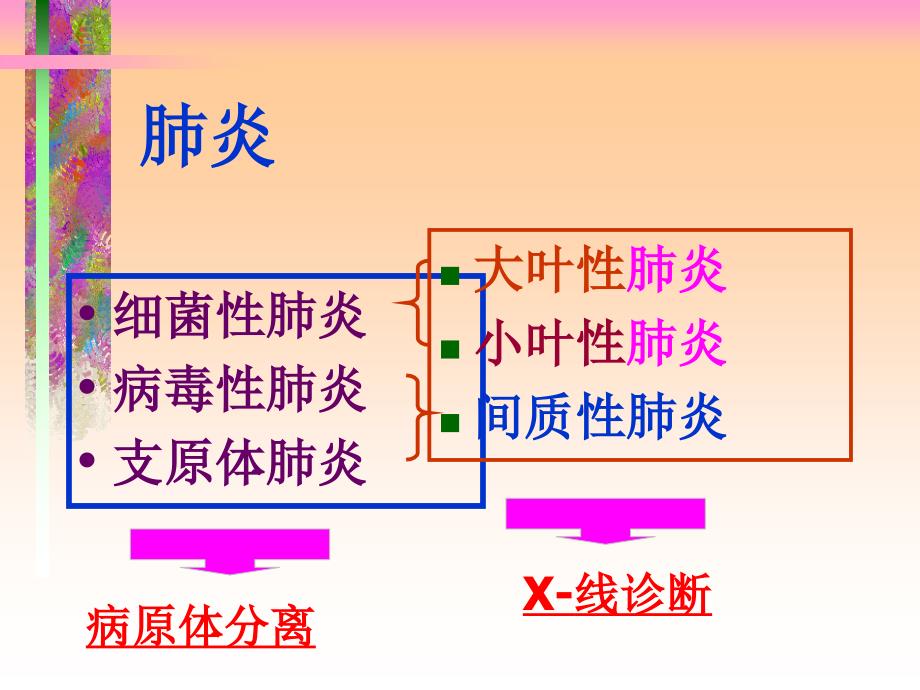 肺炎病理学 ppt课件_第4页