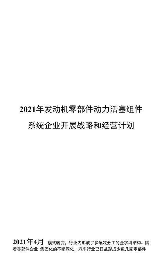 2021年发动机零部件动力活塞组件系统企业发展战略和经营计划.docx