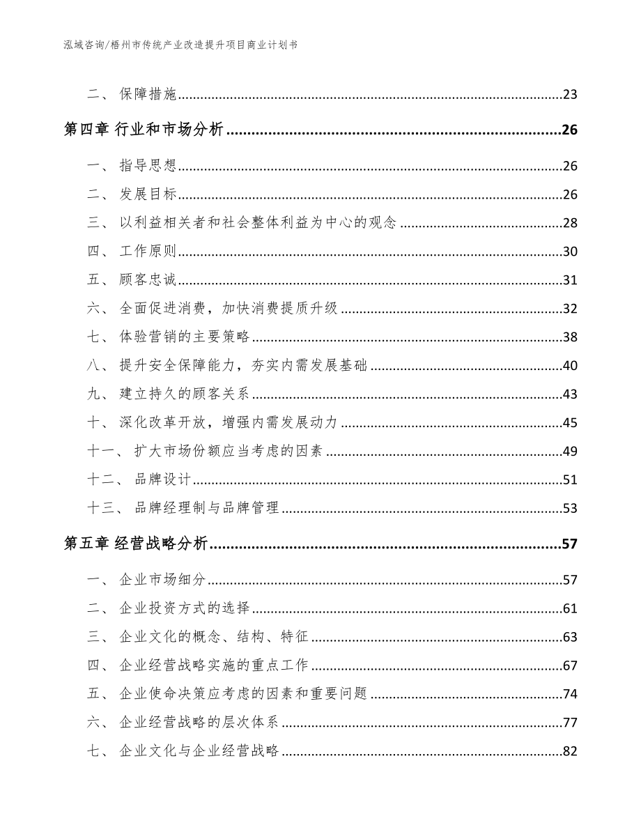 梧州市传统产业改造提升项目商业计划书_范文模板_第2页