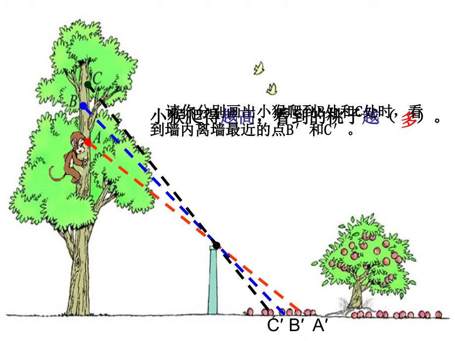 《观察的范围》_第4页