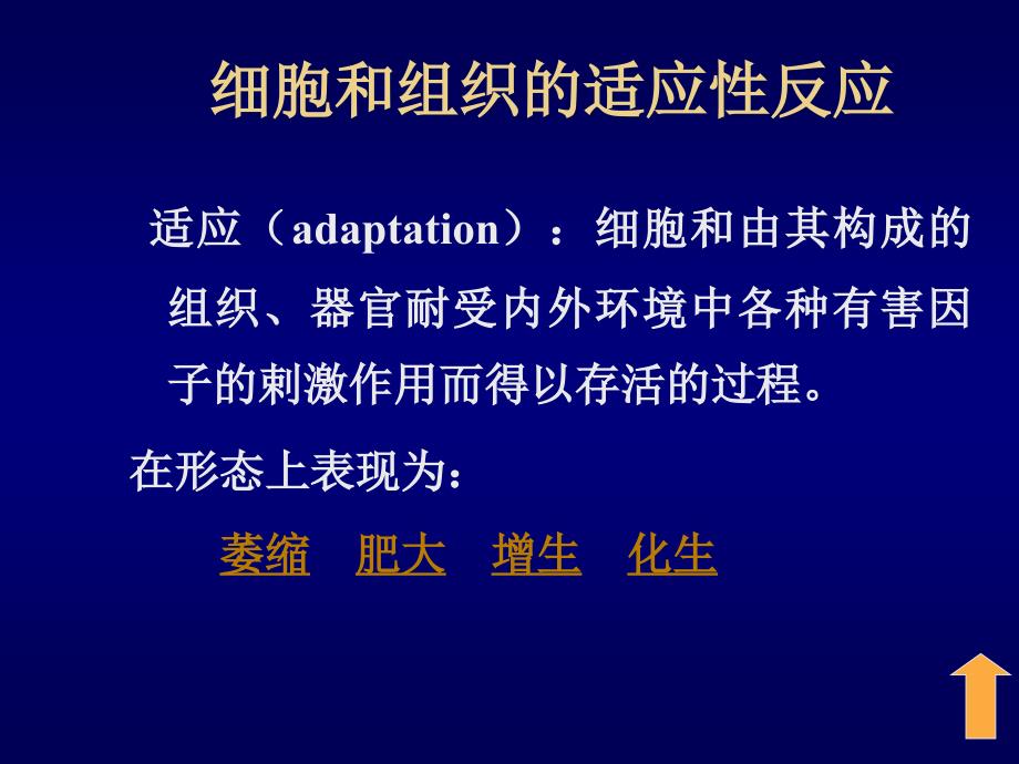 第2章细胞和组织的适应损伤与修复课件_第2页