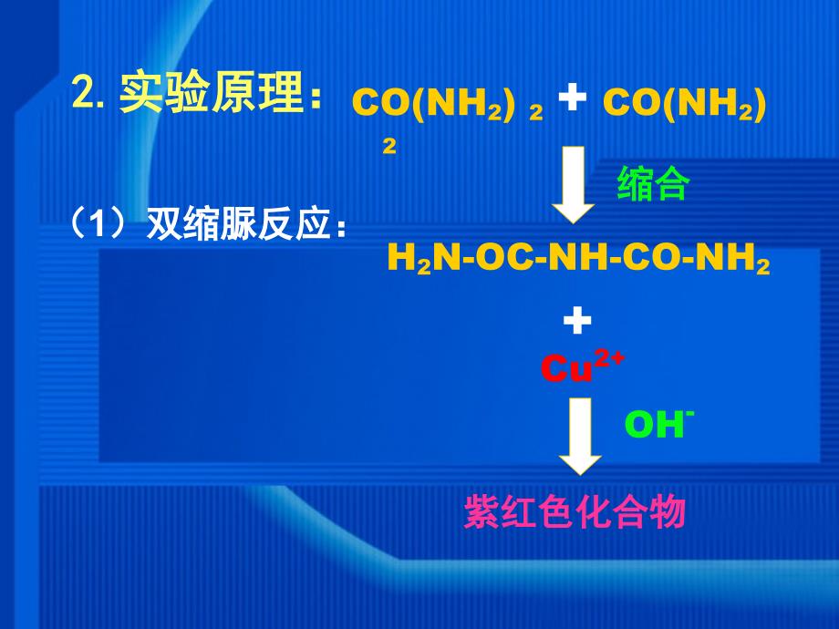 白蛋白测定与线性范围试验_第4页