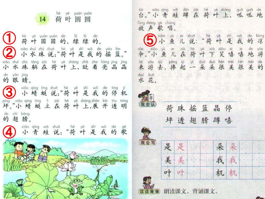 (力荐)14荷叶圆圆 (2)_第3页