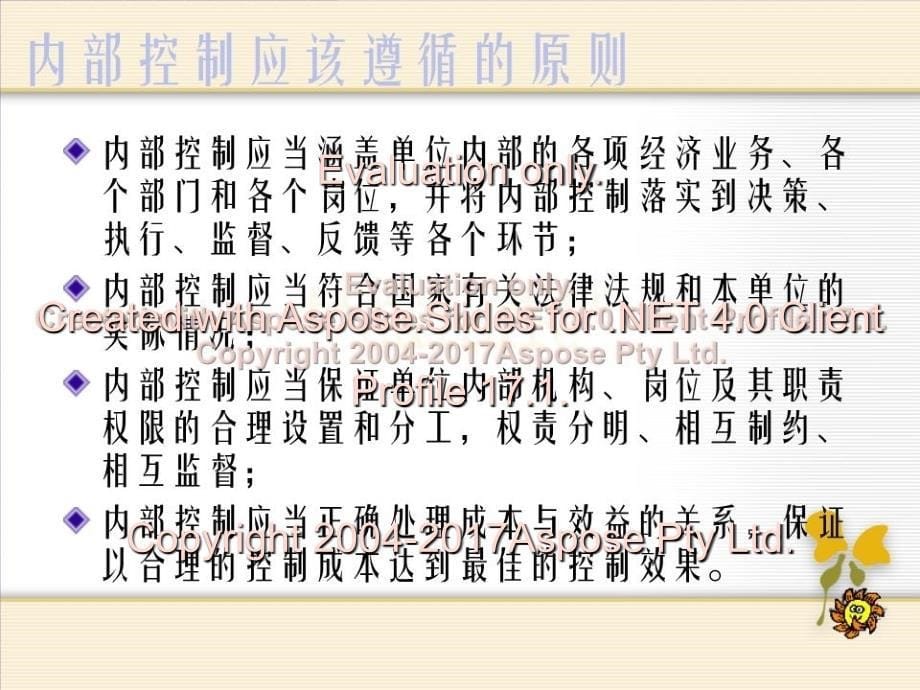 企业内部控制制度PPT课件_第5页