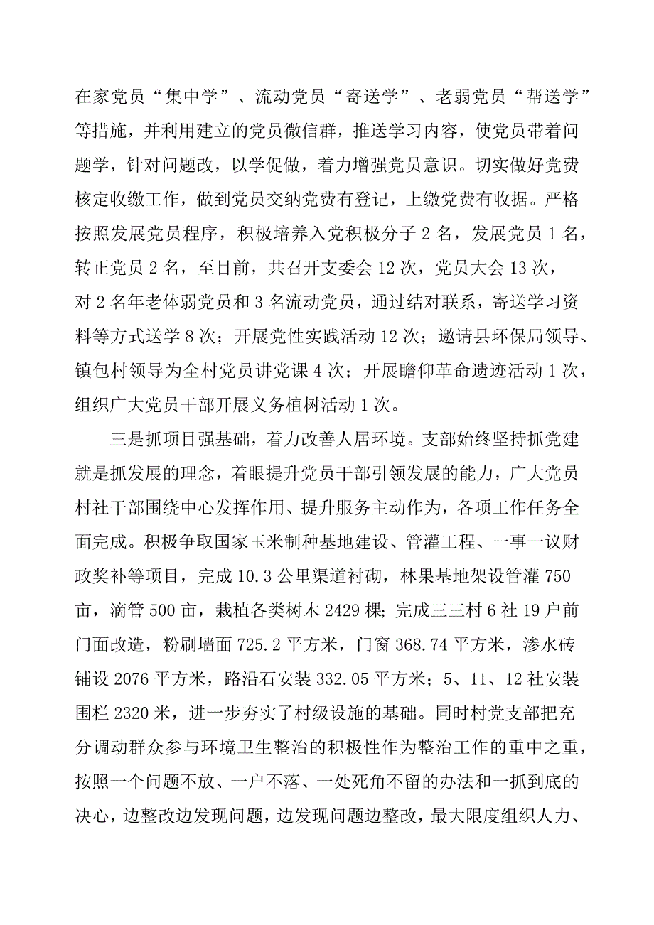 2019年村党支部书记抓党建工作专项述职报告_第2页