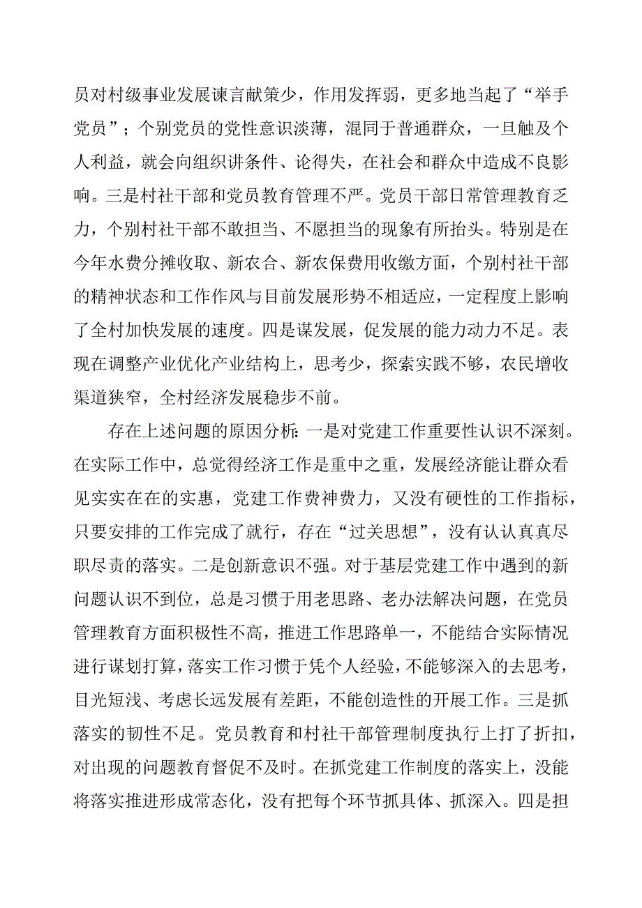 2019年村党支部书记抓党建工作专项述职报告_第4页