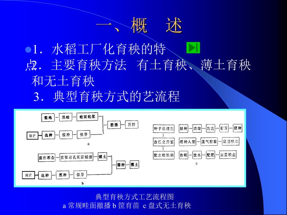 教学课件第五章水田种植机械_第4页