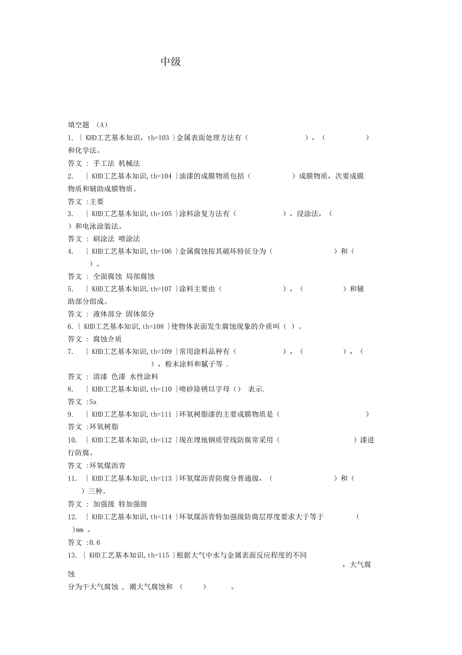 防腐绝缘工中级_第1页