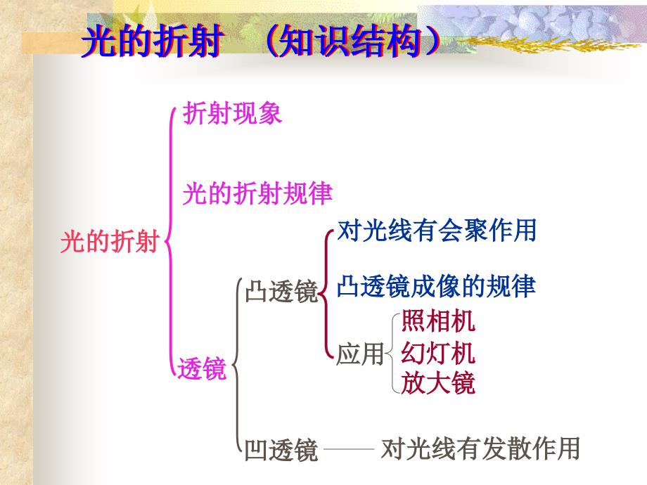 透镜及其应用复习_第2页