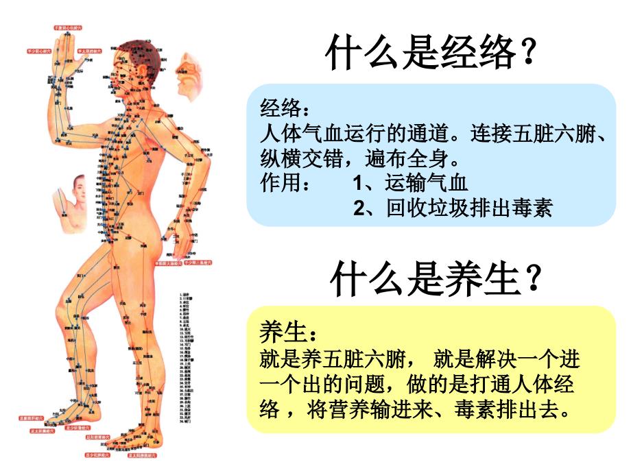 傻瓜式经络养生学vivi.ppt_第4页