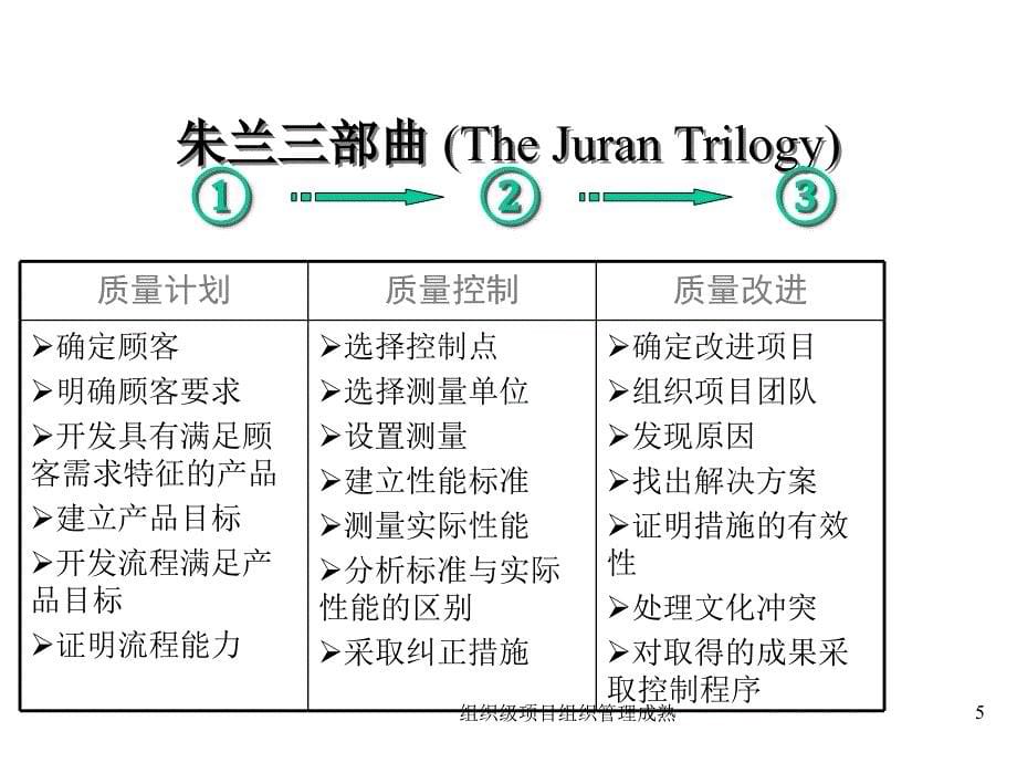 组织级项目组织管理成熟课件_第5页