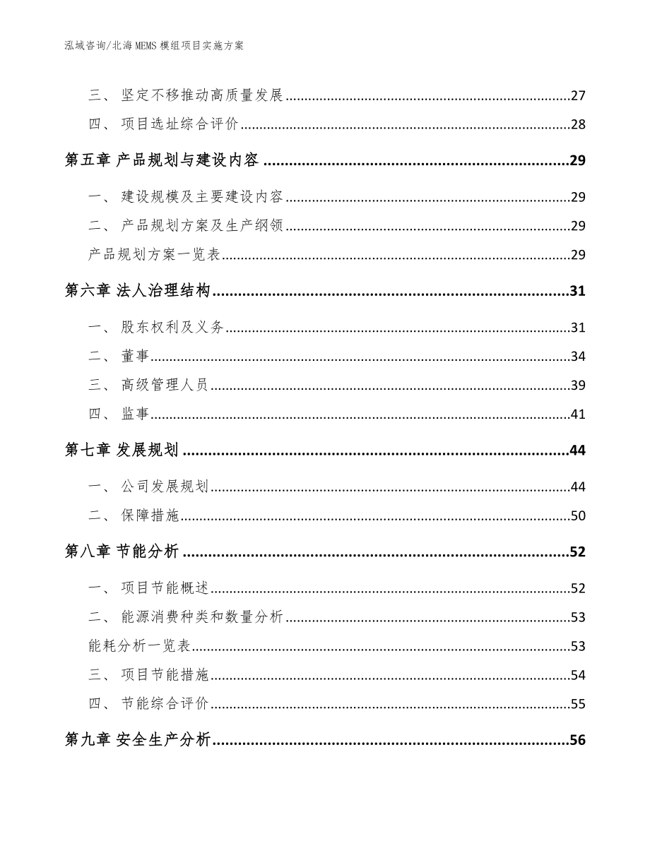 北海MEMS模组项目实施方案【模板参考】_第2页