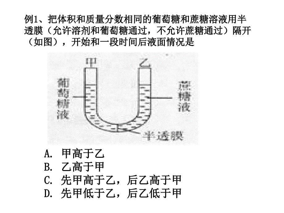 物质跨膜运输实例(优质课)(1)_第5页