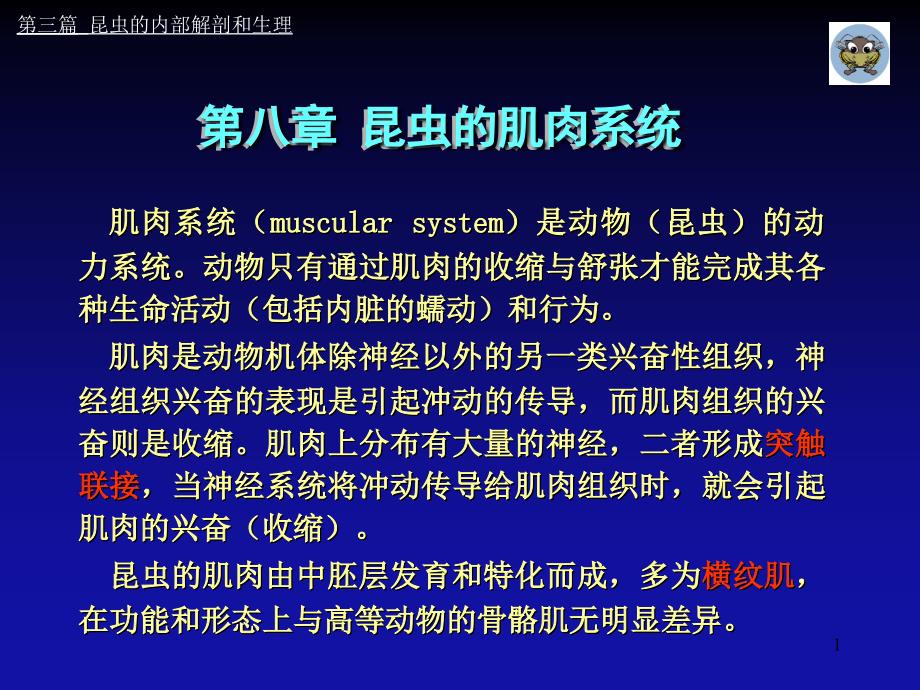昆虫的肌肉系统_第1页