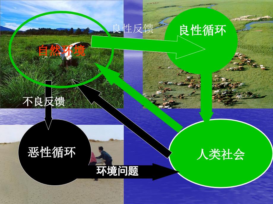 高三地理专题复习生态中国_第2页