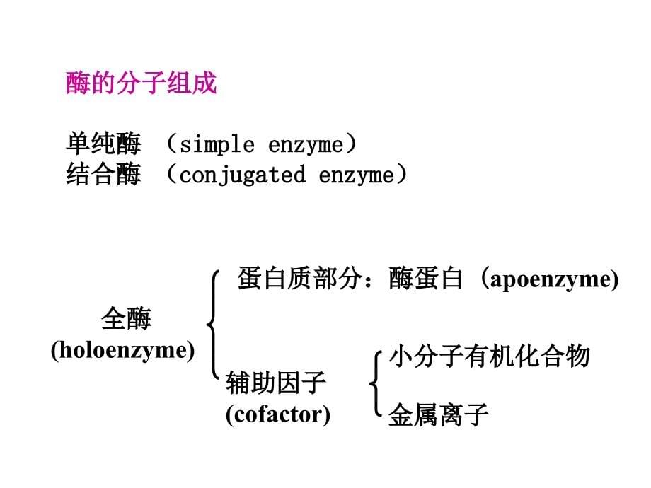 6辅酶与维生素_第5页