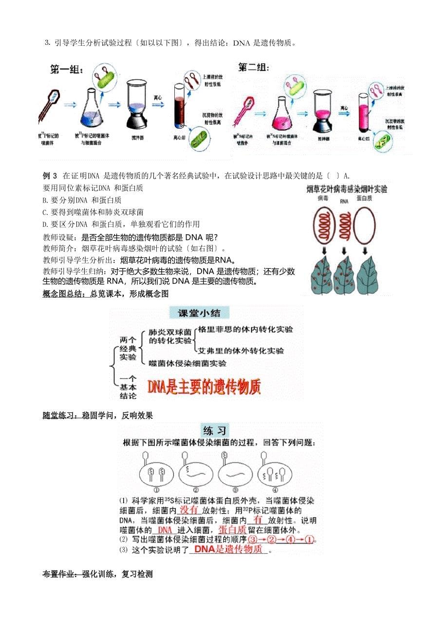 DNA是主要的遗传物质教学设计_第5页