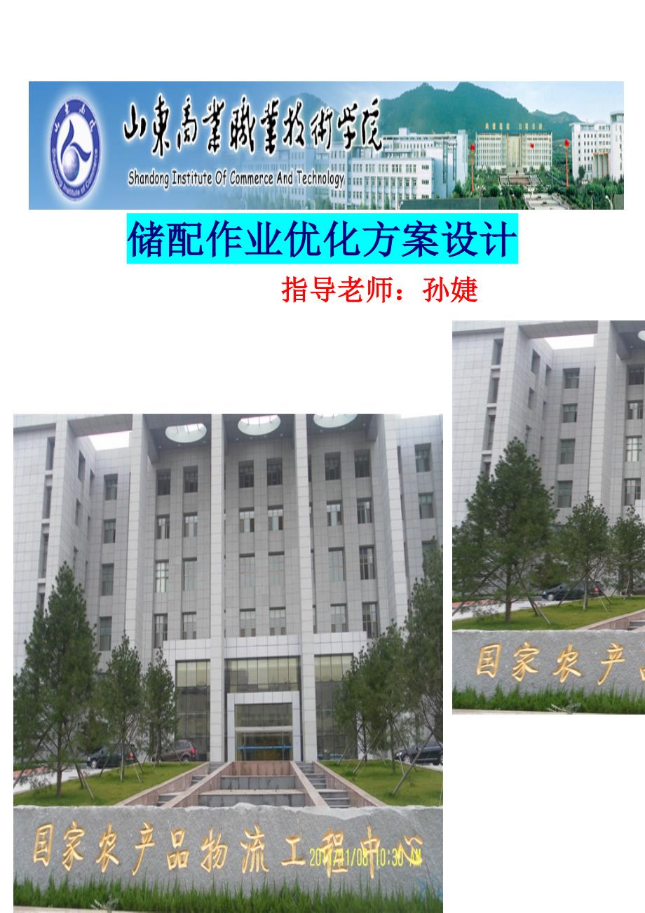 储配作业优化设计与执行.doc_第1页
