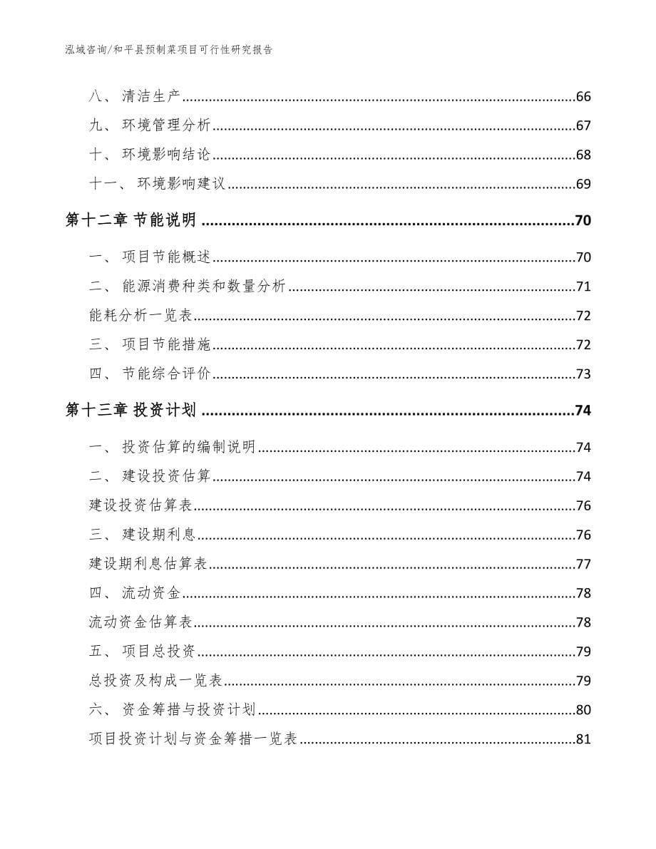 和平县预制菜项目可行性研究报告（参考范文）_第5页