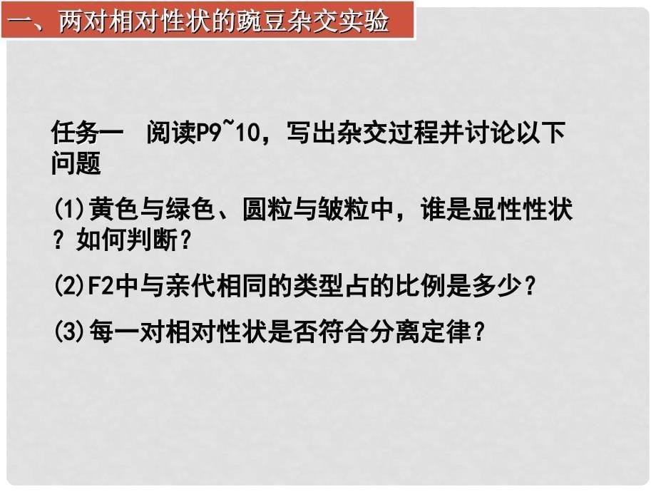 河北省石家庄市高中生物 1.2 孟德尔豌豆杂交实验（二）课件（必修2）_第5页