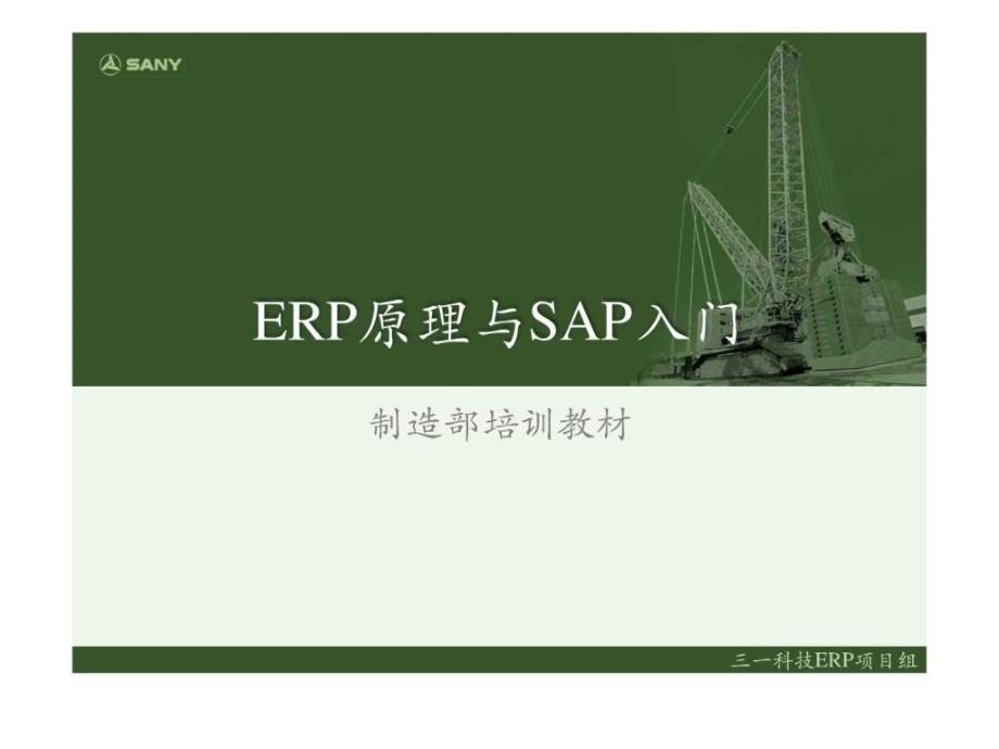 ERP原理与SAP_第1页