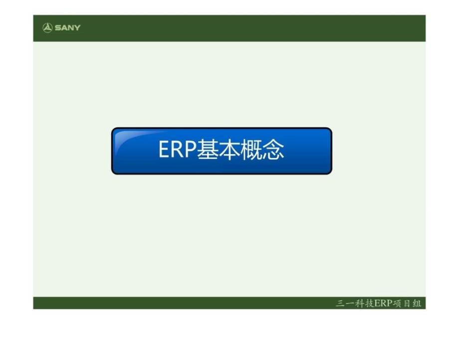 ERP原理与SAP_第3页