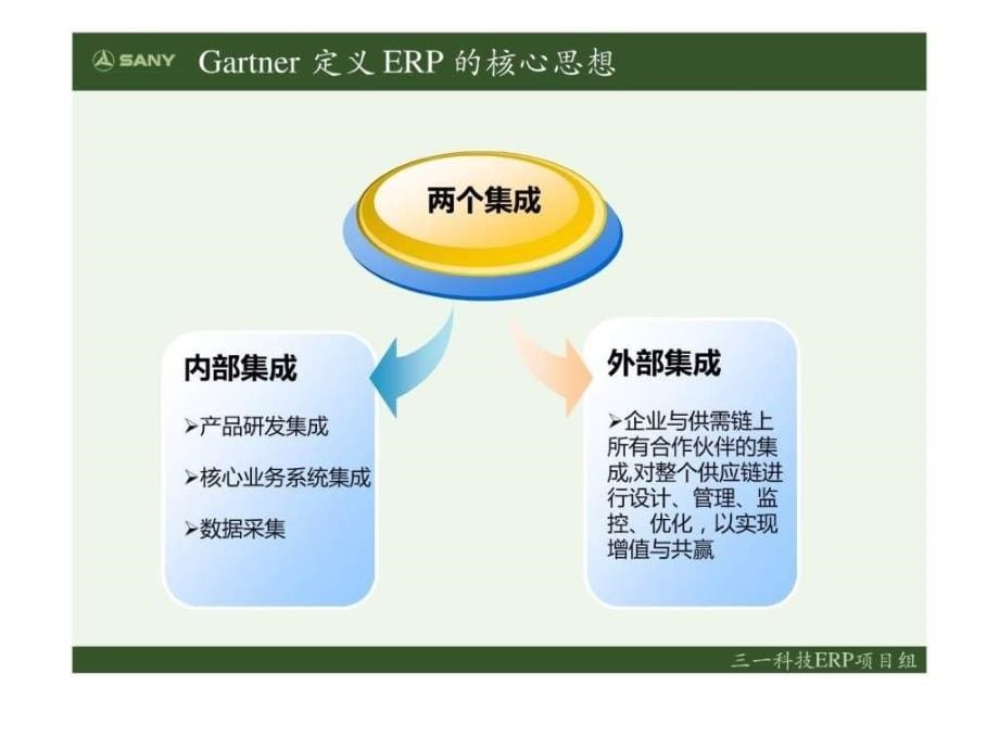 ERP原理与SAP_第5页