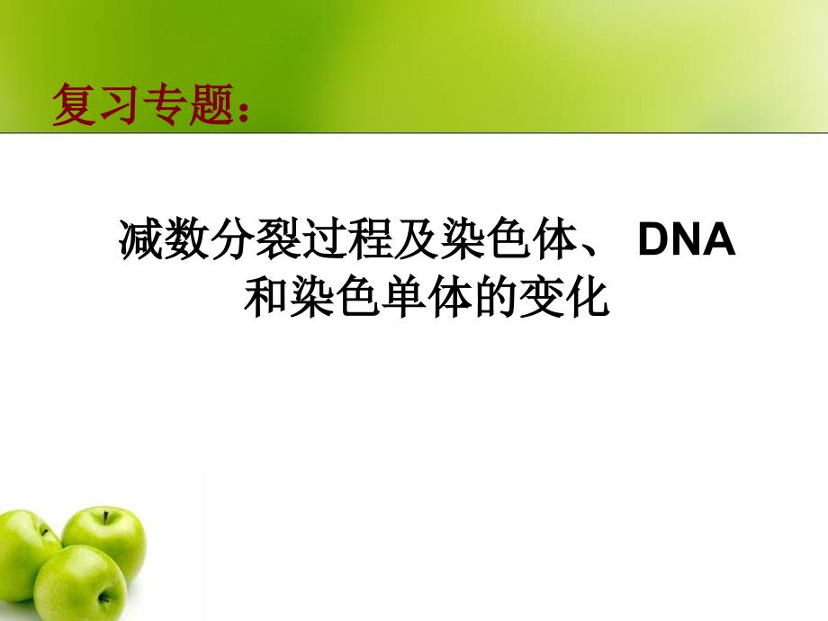 减数分裂过程及DNA、染色体和染色单体的变化减数分裂dna、染色体课件.ppt_第2页