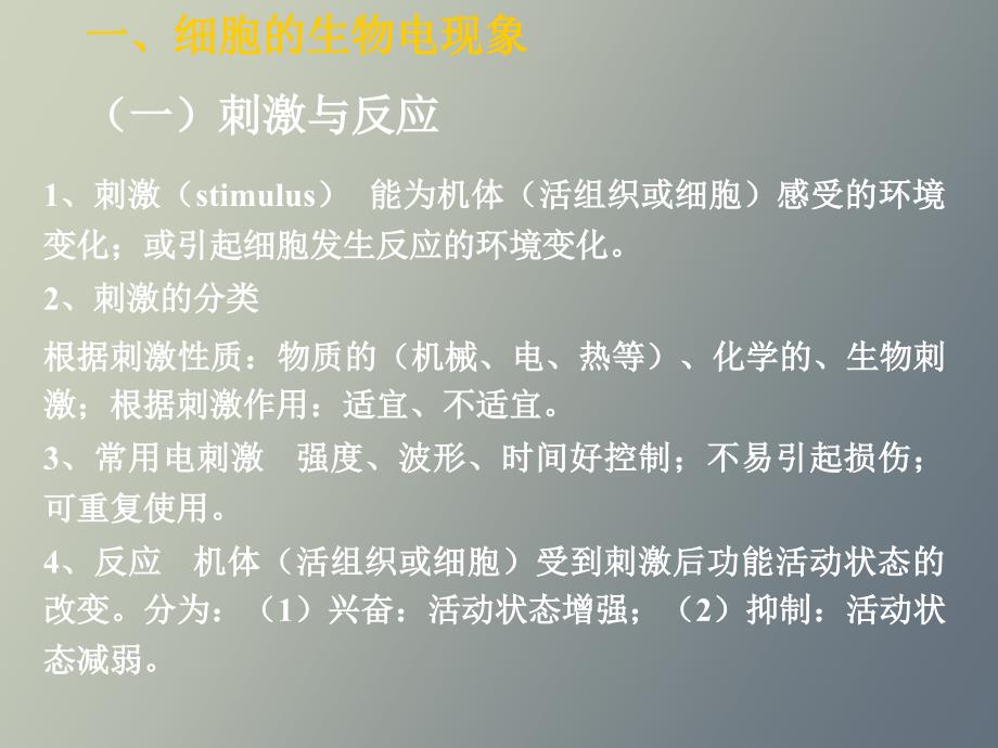 神经的兴奋与传导_第1页