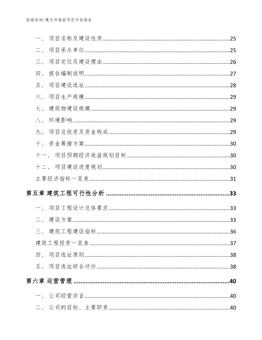 遵化市氢能项目评估报告模板_第2页