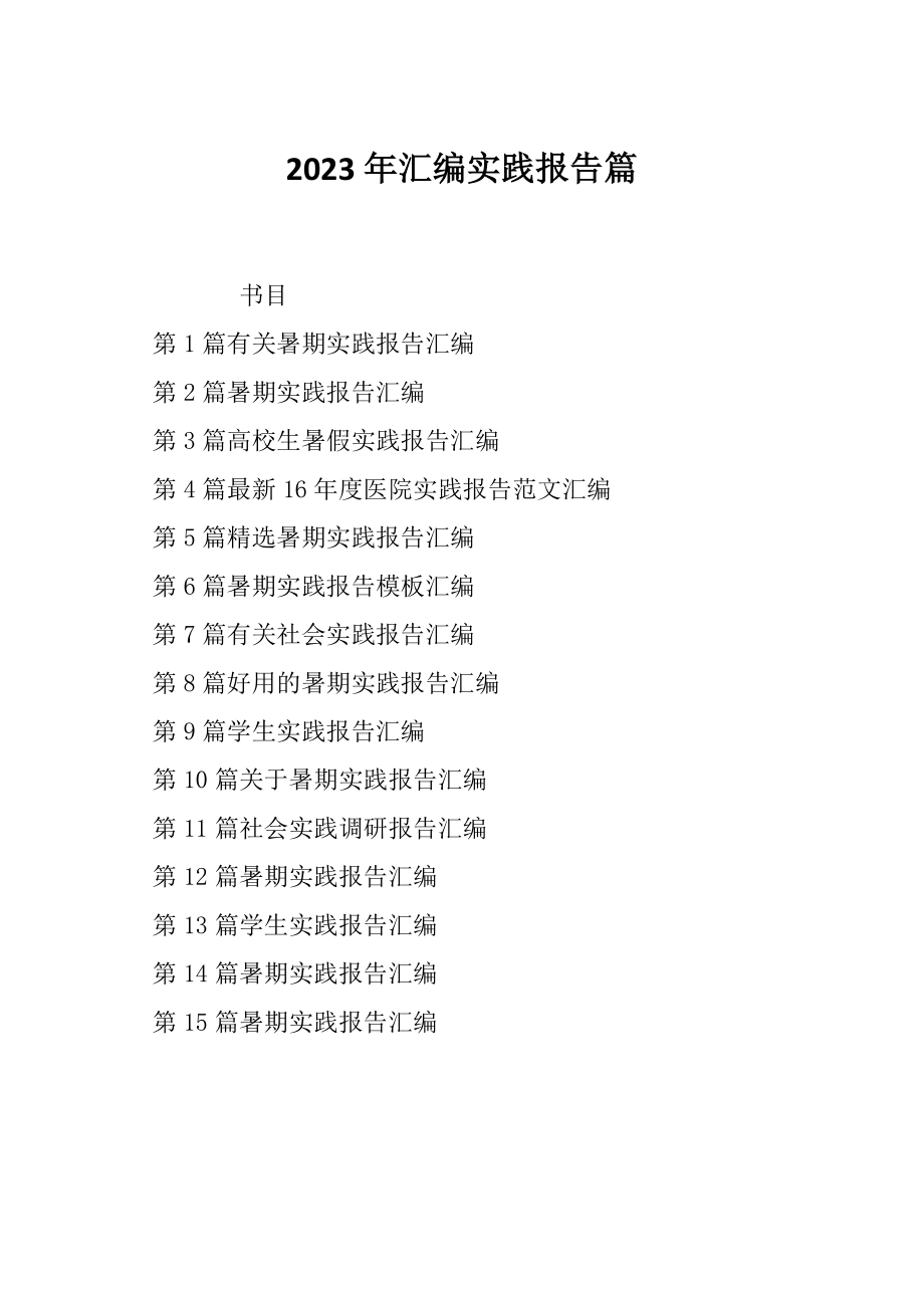 2023年汇编实践报告篇_第1页