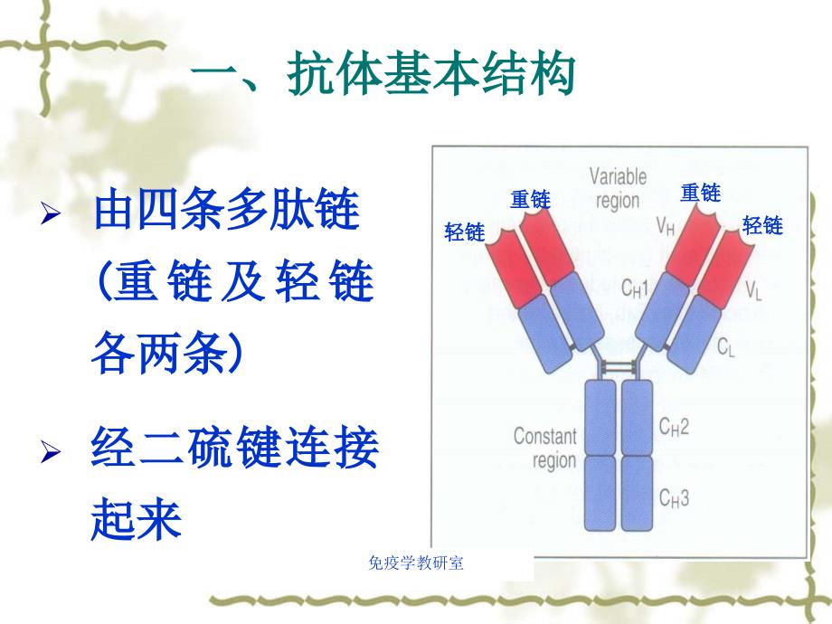 浙科版免疫学及选修三疑难问题解析课件_第4页